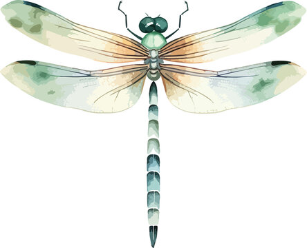 recommend clip art: Dragonfly clipart design illustration