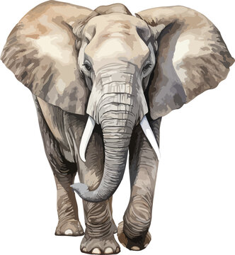 recommend clip art: Elephant clipart design illustration