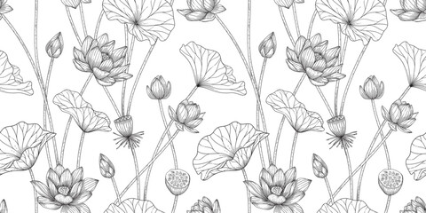 lotus floral pattern black and white illustration