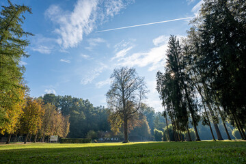Obraz premium a park scene in autumn with trees on either side and blue sky in the background