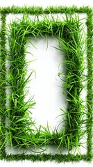 grass frame on white background.
