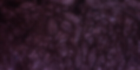 Dive into a Cheerful Kaleidoscope of Colors and Shapes in an Abstract Wonderland