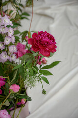 Red bouquet of peonies. Burgundy bouquet close-up