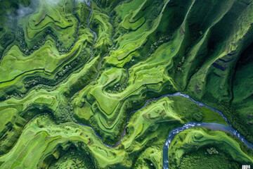 Obraz premium A stunning aerial view of verdant hills and a meandering river in Kauai, Hawaii