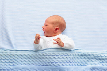 Newborn baby boy on a blue blanket