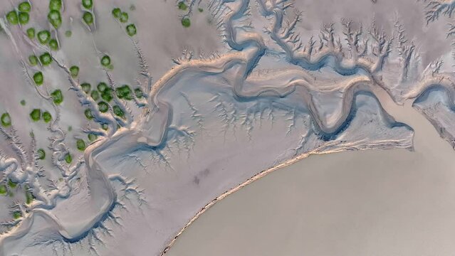 The intertidal zone texture and the green seaweed dotted in it.