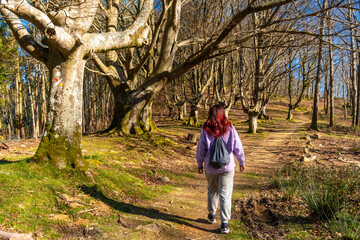 A woman is walking through a forest with a backpack on her back