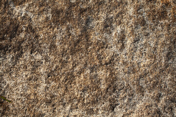 Background image of sandstone surface for use in design