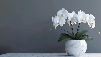 Elegant phalaenopsis orchid flowers blooming in a sleek,modern marble container,creating a serene and sophisticated botanical display for home or office decor.