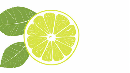 Simple, clear and beautiful arts and crafts artisanal stencil print style illustration of lime isolated on white background. Stencilled graphic design, modern, minimalist, backdrop, product