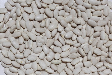 dry white beans background. beans background