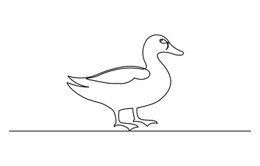 Duck in one continuous line drawing vector illustration. Pro vector, duck continuous line vector illustration, Continuous single line art drawing of pet animal duck concept outline vector illustration