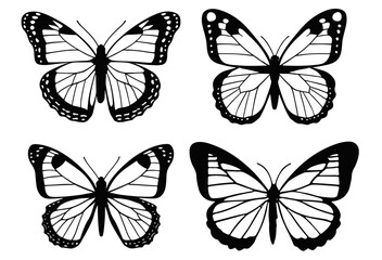 Variety of Butterflies A Diverse vector Collection 