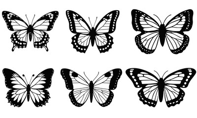 Obraz premium Variety of Butterflies A Diverse vector Collection 