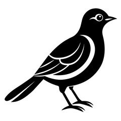 Fototapeta premium illustration of a bird
