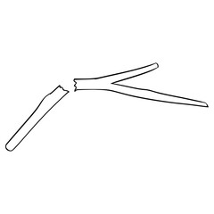 broken twig illustration hand drawn outline vector