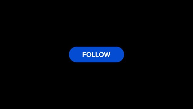 Follow Button Animation 