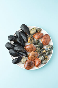 Various shellfish on a white plate: mussels, clams (vongole) and pink clams - Fasolaro Mollusk or Almeja Rosada((Callista chione). Blue background
