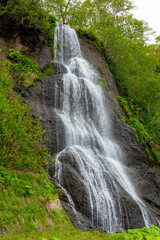 Obraz premium 絶え間なく水を流す小さな滝