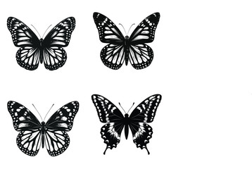 Obraz premium collection of butterflies