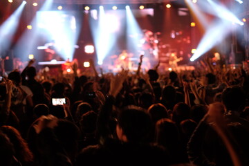 people at concert