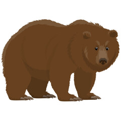 Brown Bear Standing