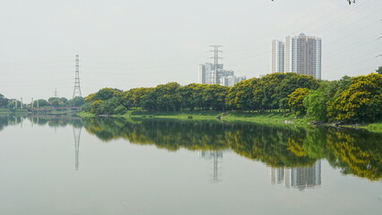 Fototapeta premium The lake landscape has many green trees silhouetted against the lake surface