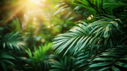Tropical Green Leaves