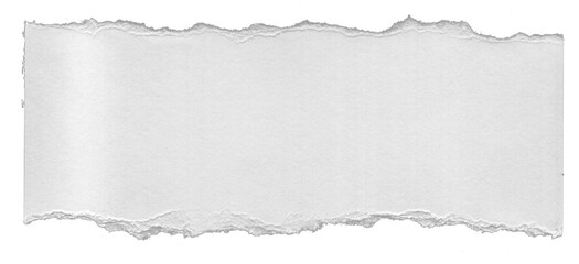 Naklejka premium Stylish Torn Ripped Paper Texture Stock 