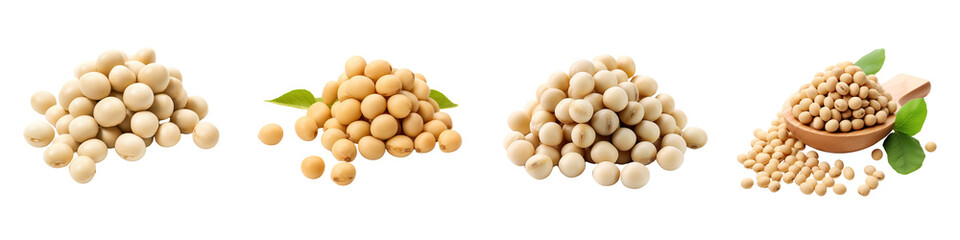 Collection of real soyes bean isolated on transparent or  white background