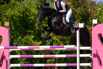 Show jumping competition on horseback. Horse Jumping, Equestrian Sports, Show Jumping themed photo.
