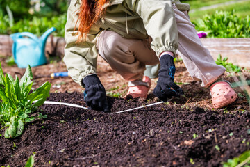 A girl helps plant carrot seeds in the ground with a seed tape