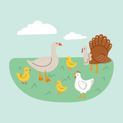 Farm birds on the grass. Children vector illustration, print. Chicken, goose, turkey, chickens.