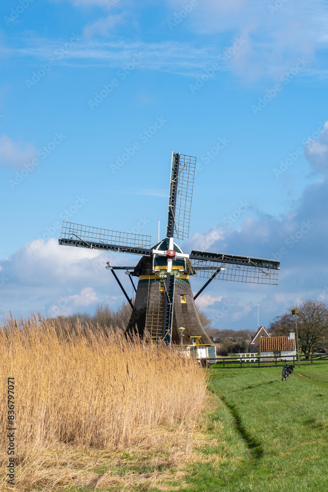 Wall mural old windmill holland netherland westland sky blue green grass