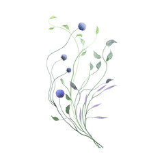 Delicate colorful bouquet with floral design elements of abstract hand drawn branches, watercolor isolated illustration for greeting or invitation cards.