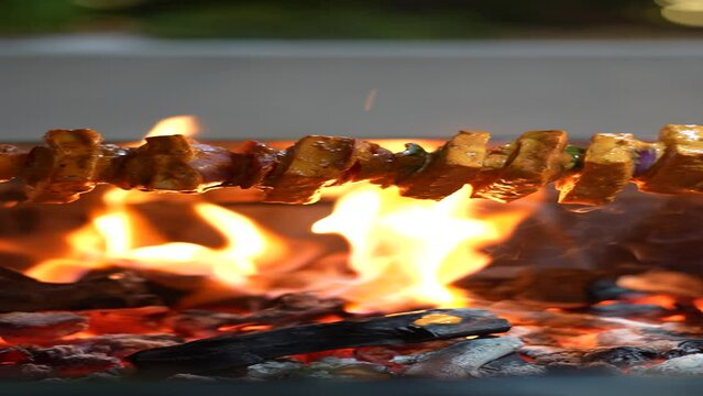 paneer tikka on fire 