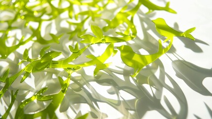 Obraz premium Bright Green Transparent Animal Shapes Casting Shadows on White Background