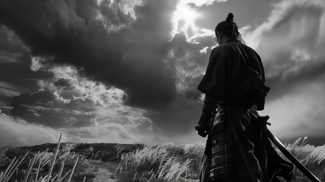 Dramatic Black and White Silhouette of Miyamoto Musashi in a Field Under Stormy Skies