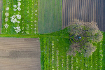 Wiosenny Ogród Stary Sącz