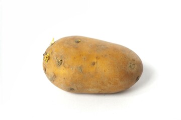 Young potato isolated on white background. Harvest new. Flat lay, top view
