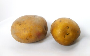 isolated potato. two potato isolated on white background with clipping path. whole vegetable, root vegetable, ingredient.