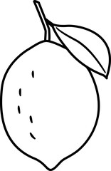 Whole lemon outline.
lemon with leaves outline.
Lemon black line.