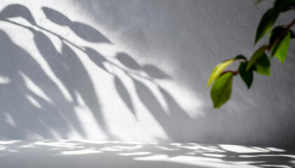 light background of shadows from plant leaves on a white wall, minimalistic background for the presentation of your products, stock wallpaper image