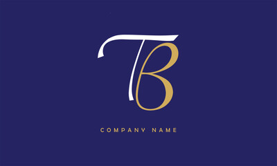 TB, BT, T, B Abstract Letters Logo Monogram