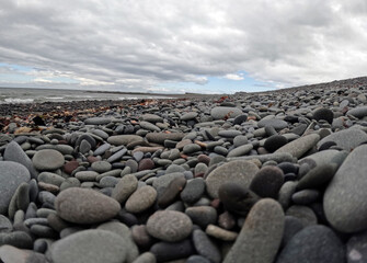 Rocky beach under cloudy sky with scattered leaves in Ballantrae, Ayrshire, Scotland, UK