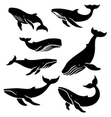Whales Silhouette: Marine Mammals, Ocean Giants, Flat Vector Illustration