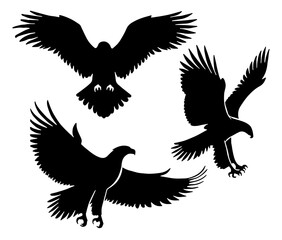 Eagle Silhouette: Majestic Bird, Symbol of Freedom, Predator, Flat Vector Illustration