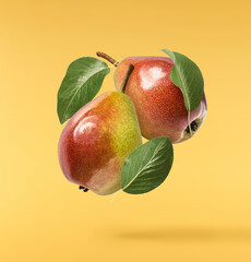 Fresh ripe Pear falling in the air, isolated on yellow background. Food levitation or zero gravity...