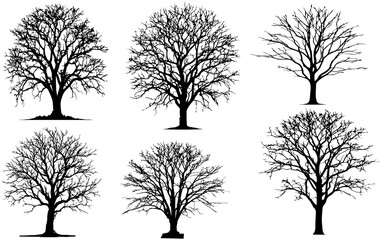 Dead Tree Vector Silhouette Collection, Scary Tree Silhouette vector bundle, Halloween Spooky Trees vector illustration, Forest Tree without leaves Silhouette Vector