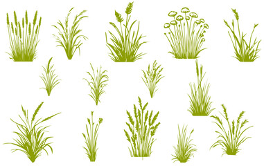 Set of green grass with wild herbs on white background. Grass bushes of different shapes. Vector illustration.